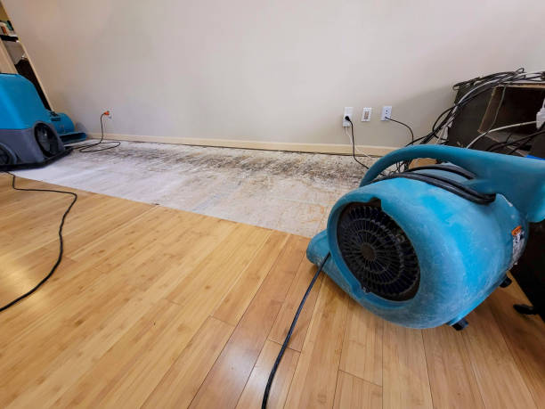 Professional Structural Drying technician working in Dearborn, MI